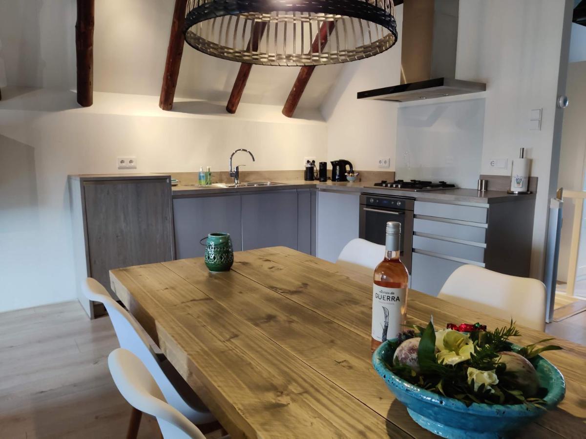 Appartement Badnieuweschans ニーヴェスハンス エクステリア 写真