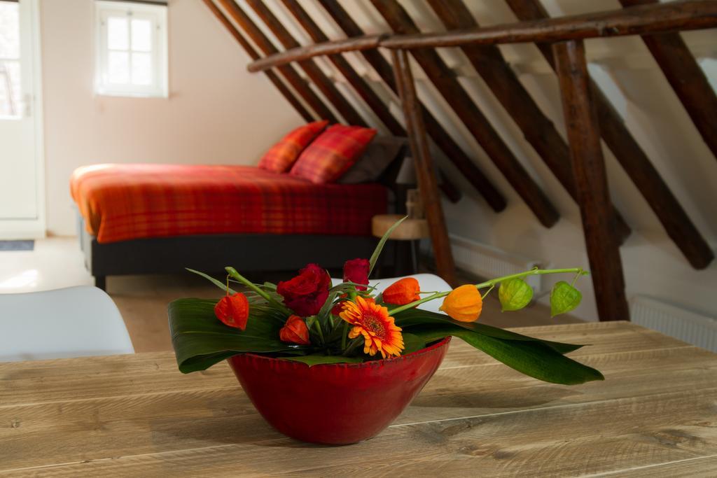 Appartement Badnieuweschans ニーヴェスハンス エクステリア 写真